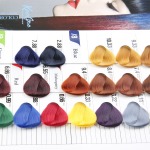 hair-color-palette-foldable