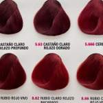 hair color palette 1