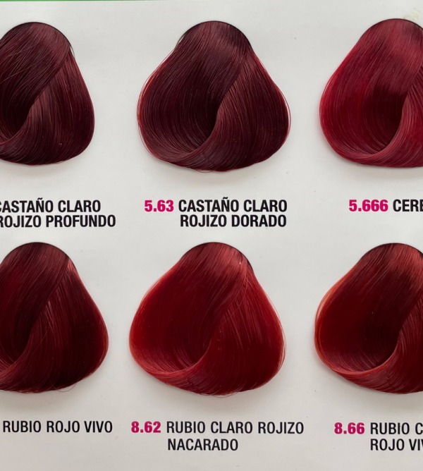 hair color palette
