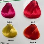 hair color palette